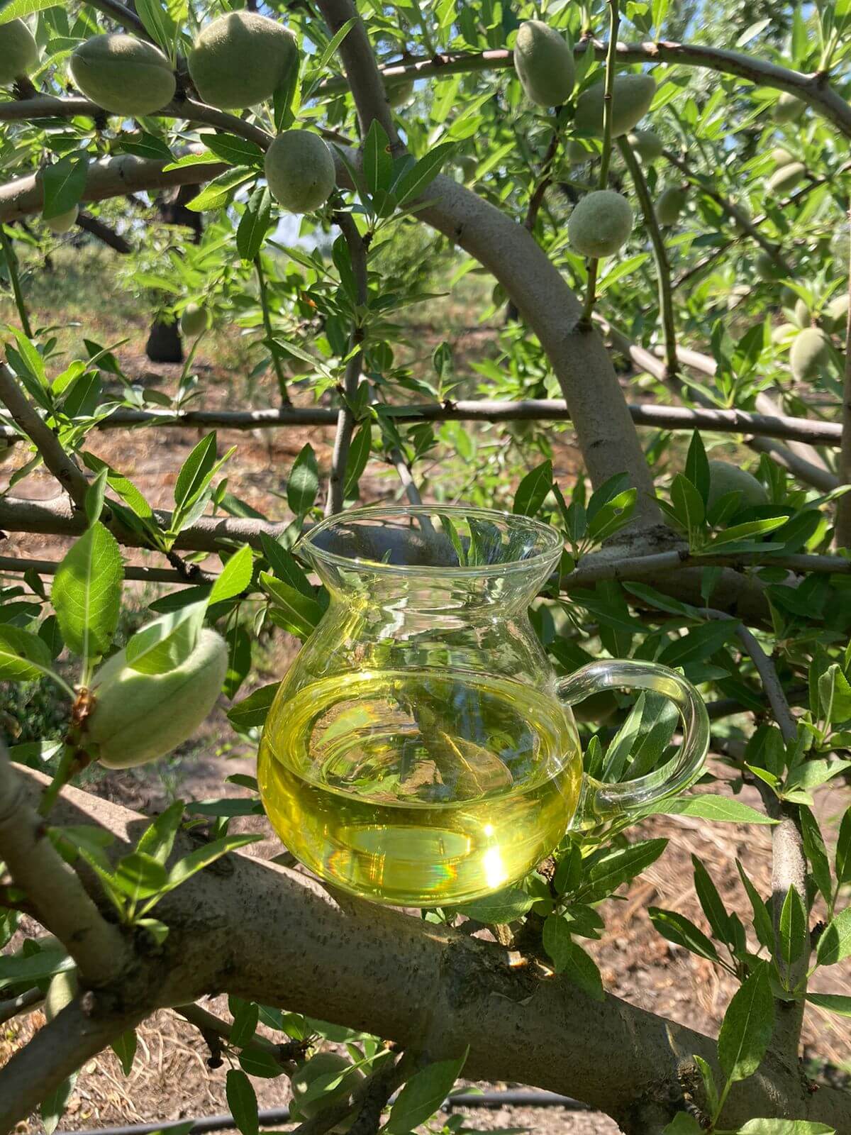 aceite de almendra