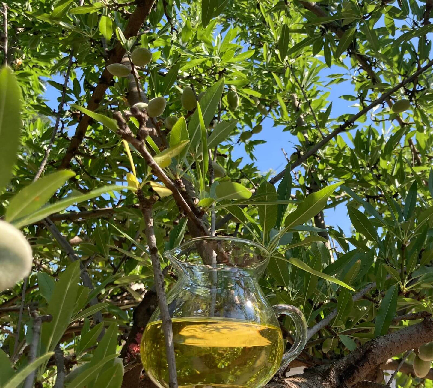 aceite de almendra